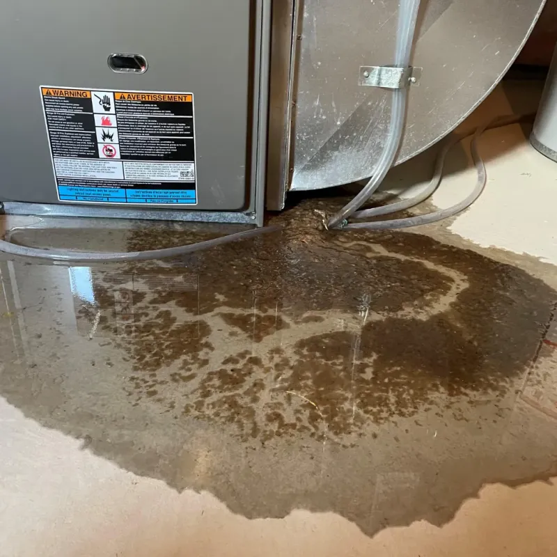 Appliance Leak Cleanup in Lyndhurst, VA