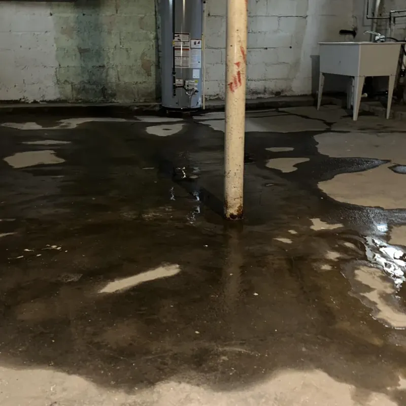Emergency Water Extraction And Removal in Lyndhurst, VA